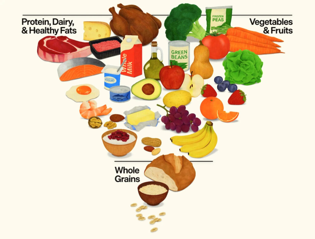 new US food pyramid 2026